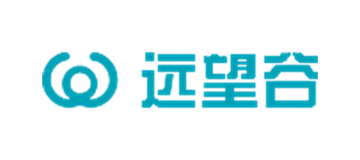 远望谷科技